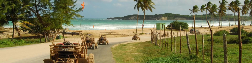 BUGGIES & 4 WHEELS PUNTA CANA