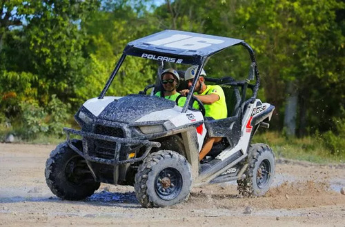BUGGY VIP & POLARIS