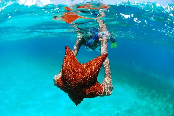 Isla Saona Vip