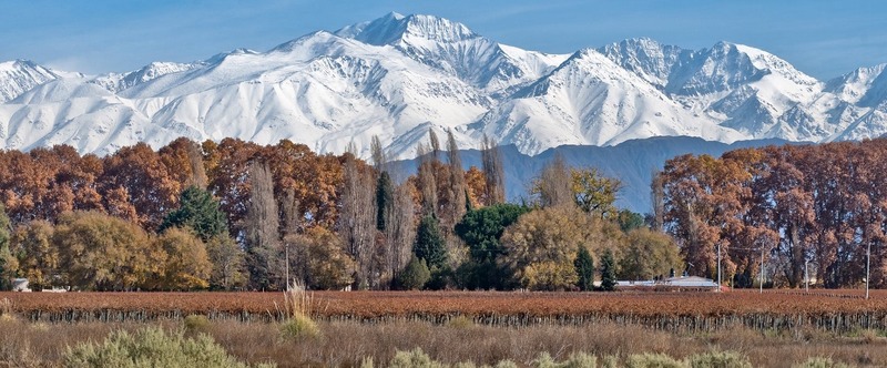 Mendoza