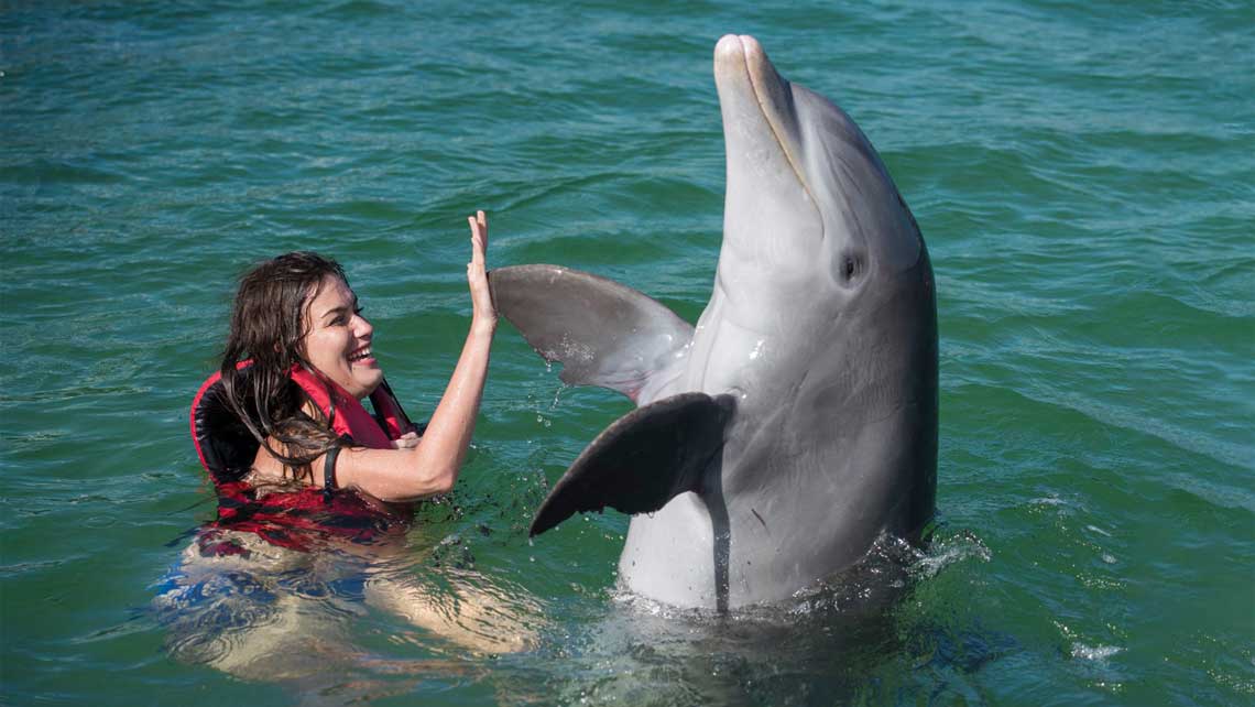 NADO CON DELFINES