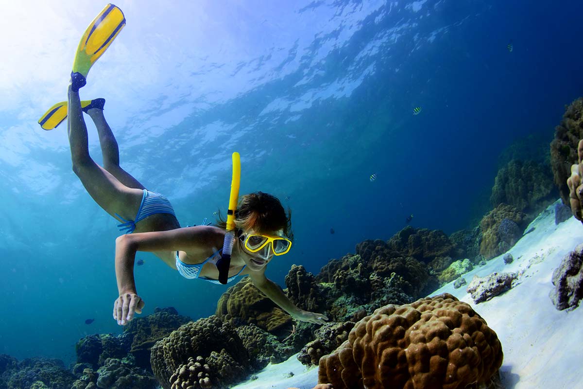 EXCURSIÓN A ISLA CATALINA CON SNORKEL