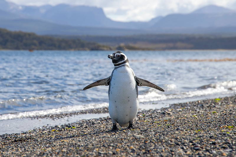 El Calafate